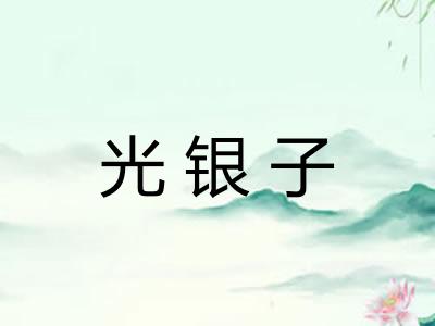 光银子 光银子