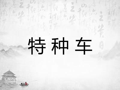 特种车 特种车