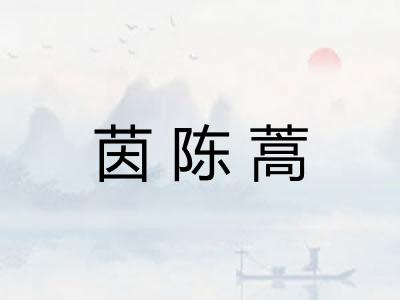 茵陈蒿 茵陈蒿