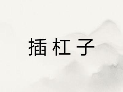 插杠子 插杠子
