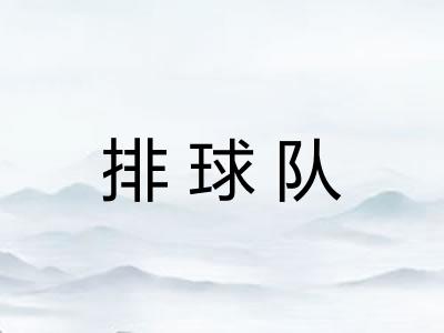 排球队 排球队