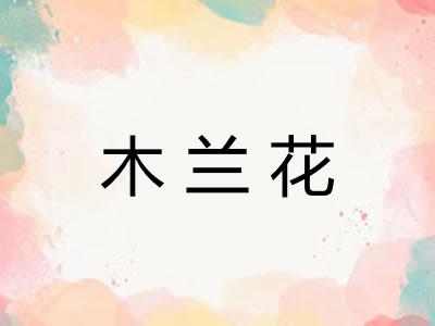 木兰花