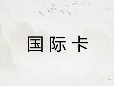 国际卡 国际卡