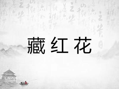 藏红花