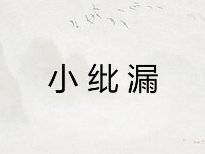 小纰漏 小纰漏