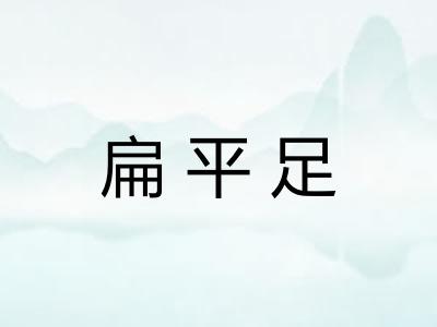 扁平足 扁平足