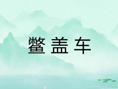 鳖盖车 鳖盖车