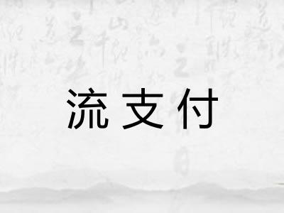 流支付