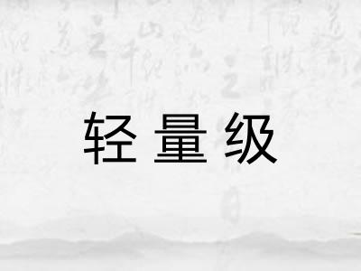 轻量级