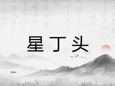 星丁头 星丁头