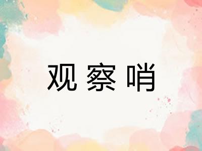 观察哨 观察哨