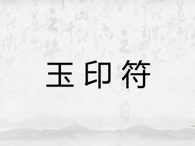 玉印符 玉印符