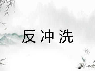 反冲洗 反冲洗
