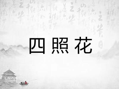 四照花 四照花