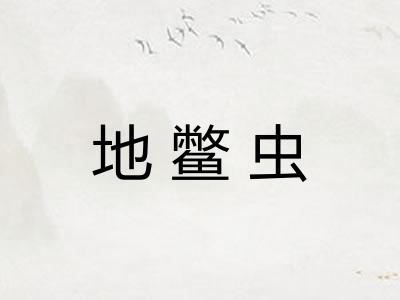 地鳖虫 地鳖虫