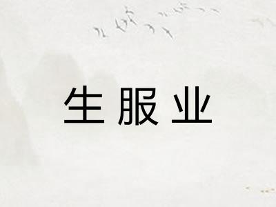 生服业 生服业