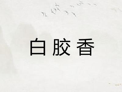 白胶香 白胶香