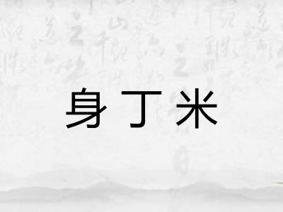 身丁米 身丁米