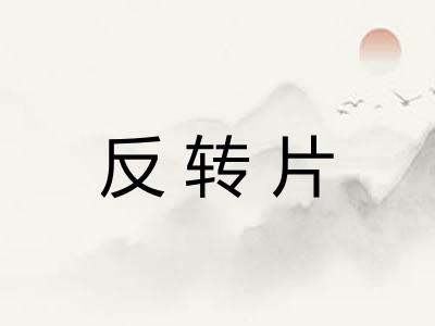 反转片 反转片