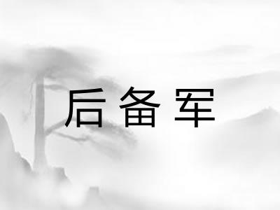 后备军 后备军