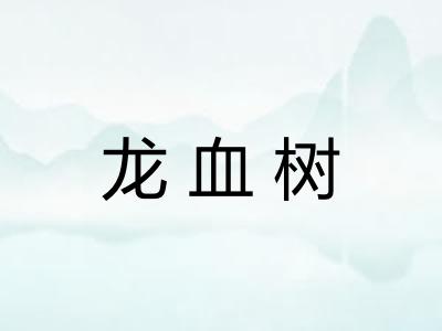 龙血树