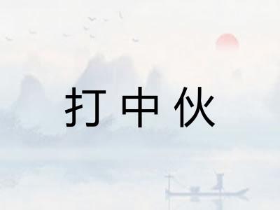 打中伙 打中伙
