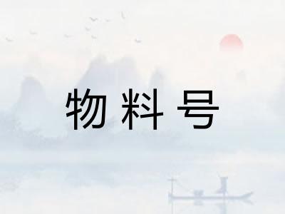 物料号 物料号