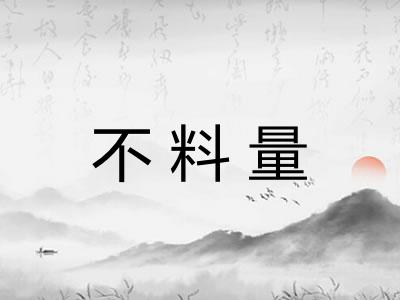 不料量