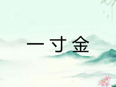 一寸金