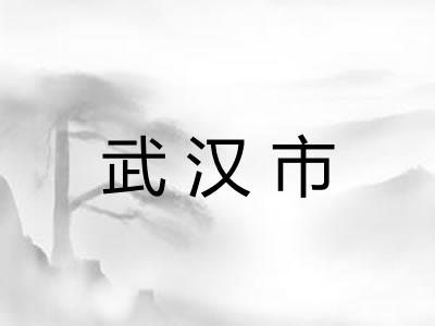 武汉市 武汉市