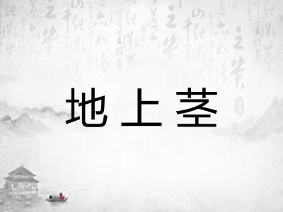 地上茎