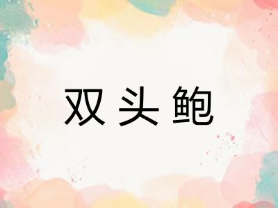 双头鲍 双头鲍