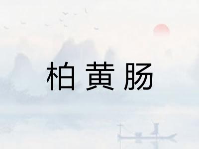 柏黄肠 柏黄肠