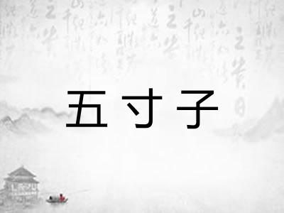 五寸子 五寸子