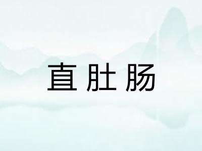 直肚肠 直肚肠