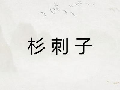 杉刺子 杉刺子