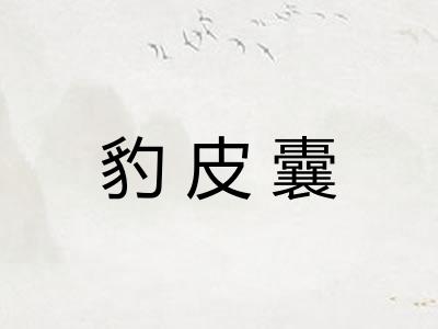 豹皮囊