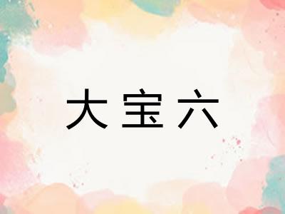 大宝六 大宝六