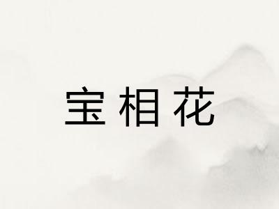 宝相花 宝相花