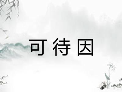 可待因 可待因