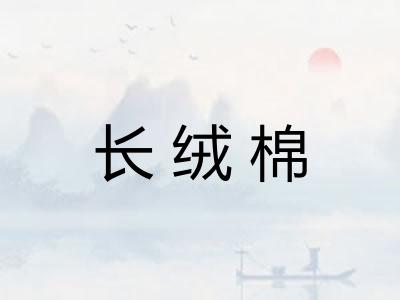 长绒棉 长绒棉