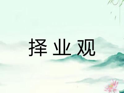 择业观 择业观