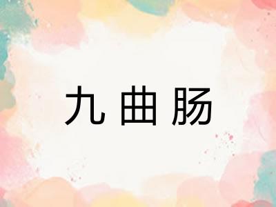 九曲肠