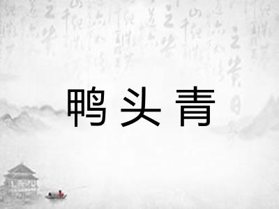 鸭头青 鸭头青