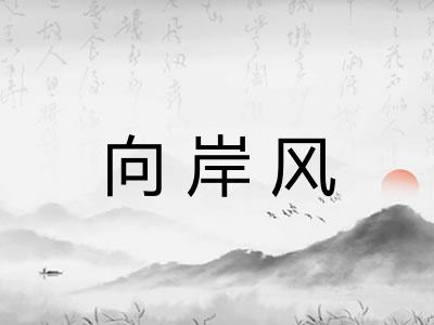 向岸风 向岸风