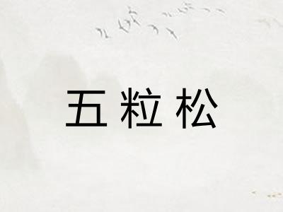 五粒松 五粒松