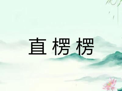 直楞楞 直楞楞