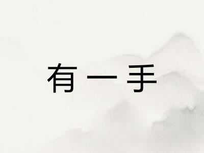 有一手