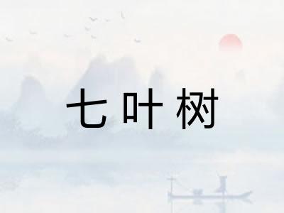 七叶树 七叶树