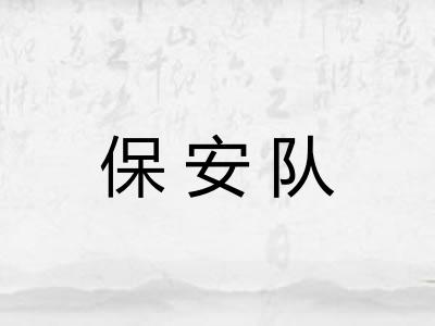 保安队 保安队
